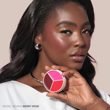 Cargar imagen en el visor de la galería, Anastasia Beverly Hills  Pink | Magic Touch Blush Trio Closed Pink
