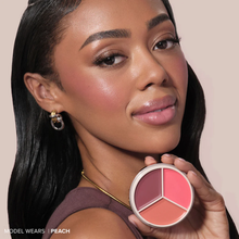 Cargar imagen en el visor de la galería, Anastasia Beverly Hills  Pink | Magic Touch Blush Trio Closed Pink
